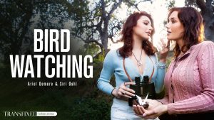 Transfixed - Bird Watching – Siri Dahl, Ariel Demure - Full Porn Video!